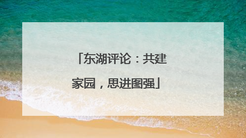 东湖评论：共建家园，思进图强