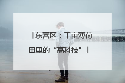 东营区：千亩薄荷田里的“高科技”