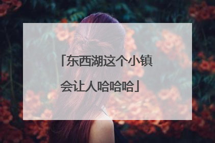 东西湖这个小镇会让人哈哈哈