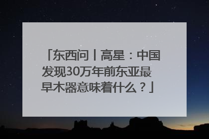 东西问丨高星：中国发现30万年前东亚最早木器意味着什么？