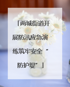 两城街道开展防汛应急演练筑牢安全“防护堤”