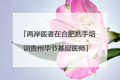 两岸医者在合肥携手培训贵州毕节基层医师