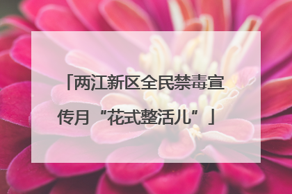 两江新区全民禁毒宣传月“花式整活儿”