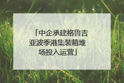 中企承建格鲁吉亚波季港集装箱堆场投入运营