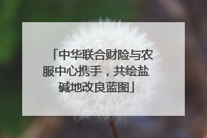 中华联合财险与农服中心携手，共绘盐碱地改良蓝图
