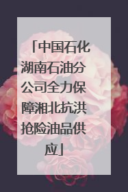 中国石化湖南石油分公司全力保障湘北抗洪抢险油品供应