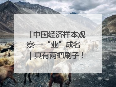 中国经济样本观察·一“业”成名｜真有两把刷子！“刷”出30亿级“颜值经济”