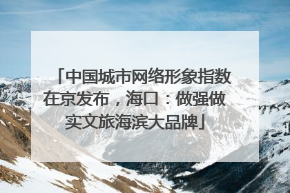 中国城市网络形象指数在京发布，海口：做强做实文旅海滨大品牌