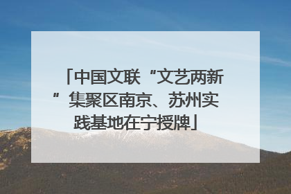 中国文联“文艺两新”集聚区南京、苏州实践基地在宁授牌