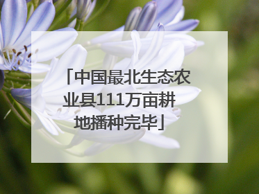 中国最北生态农业县111万亩耕地播种完毕