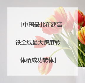 中国最北在建高铁全线最大跨度转体桥成功转体