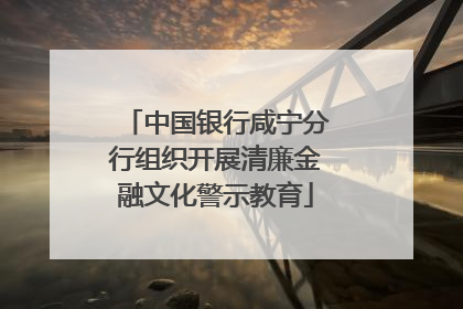中国银行咸宁分行组织开展清廉金融文化警示教育