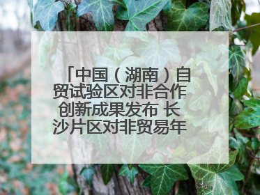 中国（湖南）自贸试验区对非合作创新成果发布 长沙片区对非贸易年均增长141%