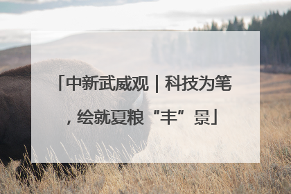 中新武威观｜科技为笔，绘就夏粮“丰”景