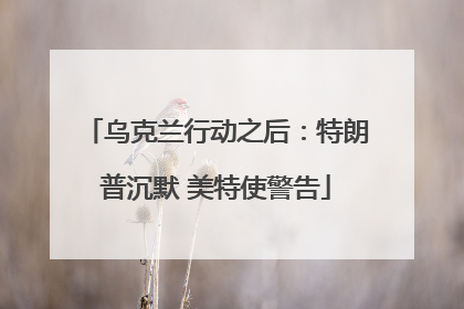 乌克兰行动之后：特朗普沉默 美特使警告