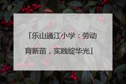 乐山通江小学：劳动育新苗，实践绽华光