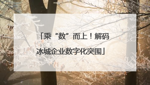 乘“数”而上！解码冰城企业数字化突围