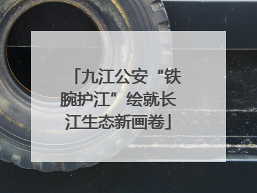 九江公安“铁腕护江”绘就长江生态新画卷