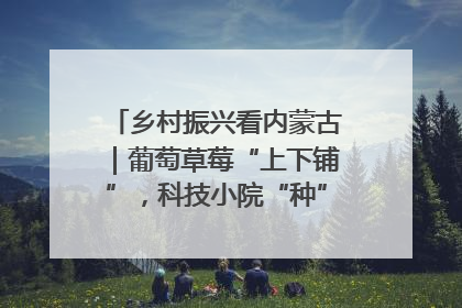乡村振兴看内蒙古｜葡萄草莓“上下铺”，科技小院“种”出三倍效益