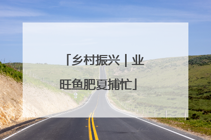 乡村振兴｜业旺鱼肥夏捕忙