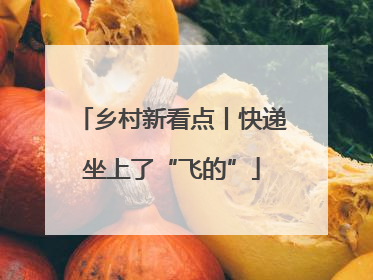 乡村新看点丨快递坐上了“飞的”