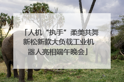 人机“执手”柔美共舞 新松新款大负载工业机器人亮相端午晚会