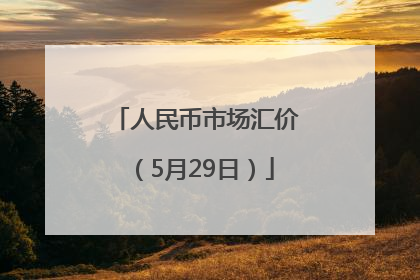 人民币市场汇价（5月29日）