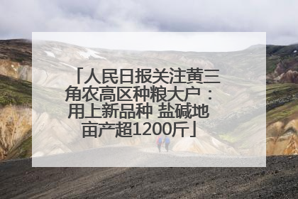 人民日报关注黄三角农高区种粮大户：用上新品种 盐碱地亩产超1200斤