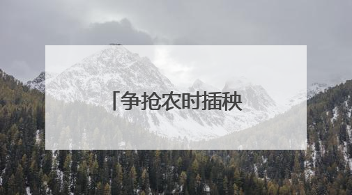 争抢农时插秧忙——陕西汉中夏播见闻