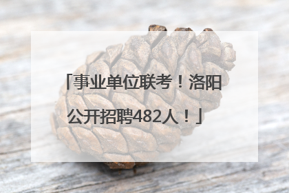 事业单位联考！洛阳公开招聘482人！