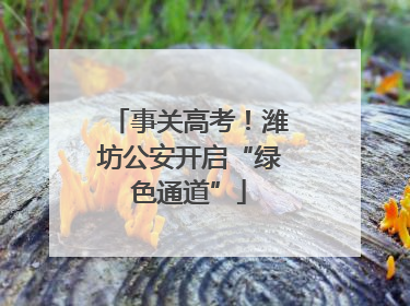 事关高考！潍坊公安开启“绿色通道”