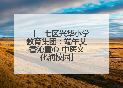 二七区兴华小学教育集团：端午艾香沁童心 中医文化润校园