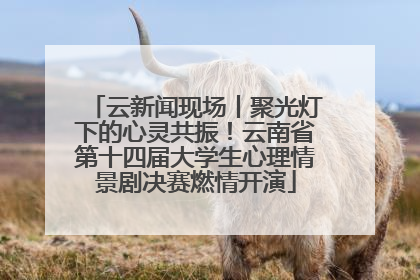 云新闻现场丨聚光灯下的心灵共振！云南省第十四届大学生心理情景剧决赛燃情开演