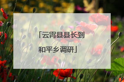 云霄县县长到和平乡调研