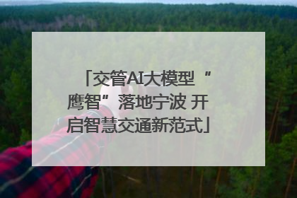 交管AI大模型“鹰智”落地宁波 开启智慧交通新范式