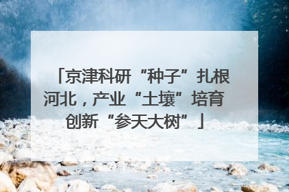 京津科研“种子”扎根河北，产业“土壤”培育创新“参天大树”