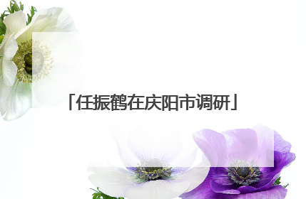 任振鹤在庆阳市调研