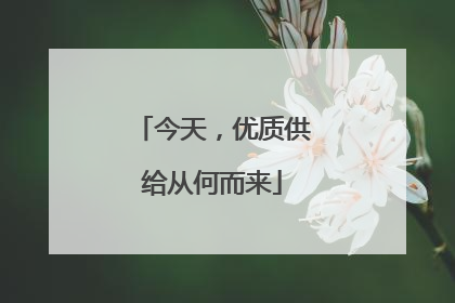 今天，优质供给从何而来