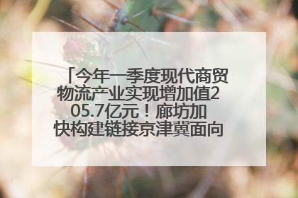 今年一季度现代商贸物流产业实现增加值205.7亿元！廊坊加快构建链接京津冀面向全世界的物流通道