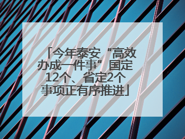 今年泰安“高效办成一件事”国定12个、省定2个事项正有序推进