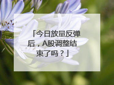 今日放量反弹后，A股调整结束了吗？