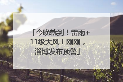 今晚就到！雷雨+11级大风！刚刚，淄博发布预警