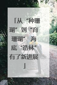从“种珊瑚”到“育珊瑚” 海底“造林”有了新进展