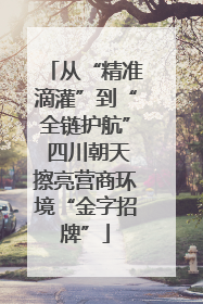 从“精准滴灌”到“全链护航” 四川朝天擦亮营商环境“金字招牌”