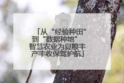 从“经验种田”到“数据种地” 智慧农业为夏粮丰产丰收保驾护航
