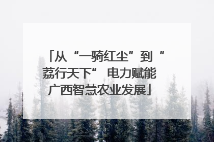 从“一骑红尘”到“荔行天下” 电力赋能广西智慧农业发展