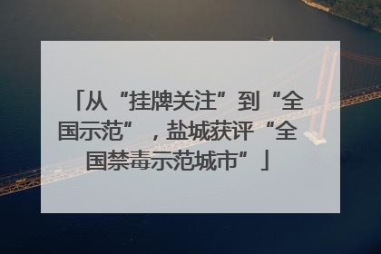 从“挂牌关注”到“全国示范”，盐城获评“全国禁毒示范城市”