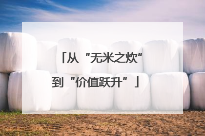 从“无米之炊”到“价值跃升”