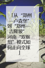 从“郑州—卢森堡”到“郑州—吉隆坡” 河南“双枢纽”模式如何走向全球