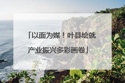 以面为媒！叶县绘就产业振兴多彩画卷